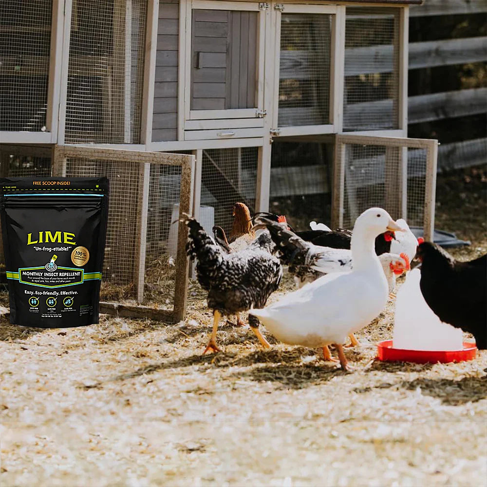 Natural Outdoor Pest Repellent for Ants, Ticks and Fleas
